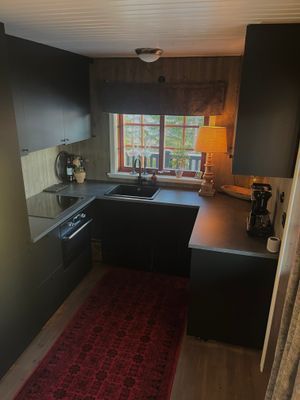 Orrliden Tandådalen Hundfjället sälen - Bild 10