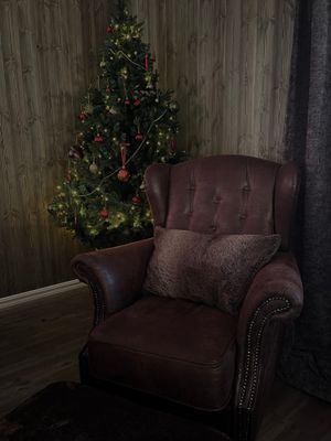 Orrliden Tandådalen Hundfjället sälen - Bild 14