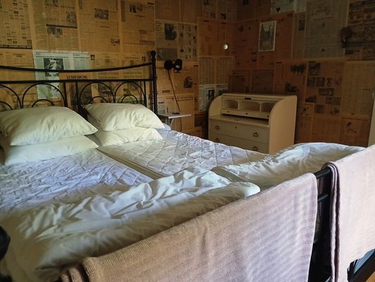 Österlen, liten stuga med trädgård - Bild 17