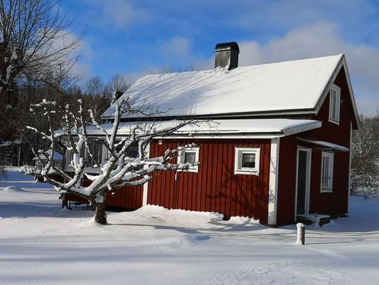 Mysig stuga med sjöutsikt, inkl. båt och brygga - Bild 17