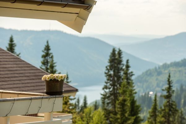 Skiin/out Åre Björnen, 10 bäddar, ledig från v 32 - Bild 26
