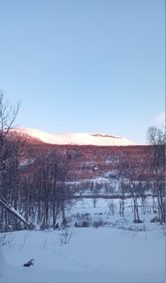 Utsikten från köket, Hamrafjället.