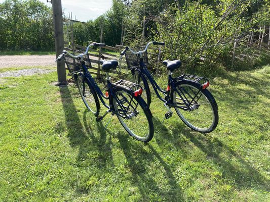 Toppenfint hus med pool nära Ljugarn - Bild 11