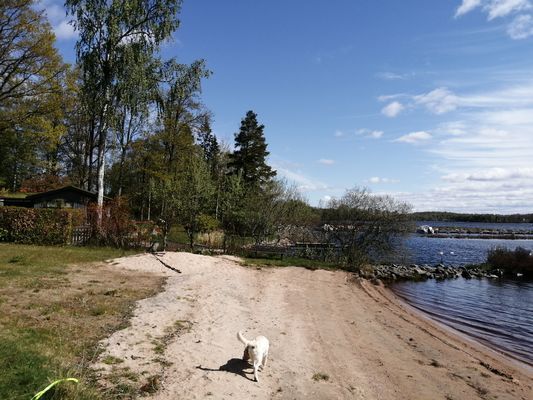 Älmhult-Boastad. Naturnära vid sjön Möcklen - Bild 16