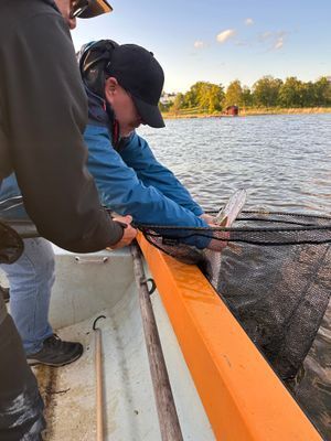 Stuga med fiskebåt 40 min från Stockholm - Bild 56