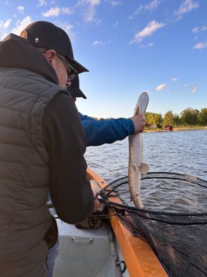 Stuga med fiskebåt 40 min från Stockholm - Bild 54