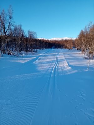 Nordic Skii, ovanför stugan.