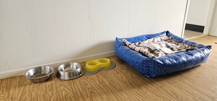 NY! Hundvänligt hus i Hjälmvik med havsglimt - Bild 26