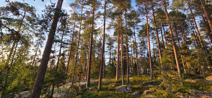 Charmig stuga, 7 bäddar nära natur & aktiviteter - Bild 16