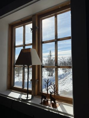 Stuga på gränsen till kalfjället - Bild 20