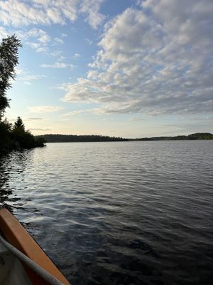 Stuga med fiskebåt 40 min från Stockholm - Bild 64