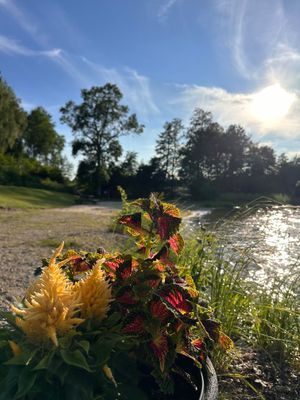 Stuga med fiskebåt 40 min från Stockholm - Bild 65