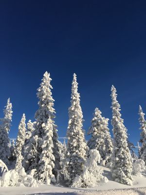 Bild 3 på Lägenhet i lugn miljö, även långtidsuthyrning