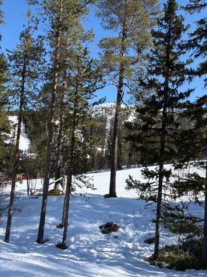 Bild 3 på Ski in/ Ski out med 9 bäddar i Klockarfjäll