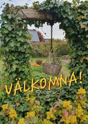 Brantevik! Sommar - 26. - Bild 30