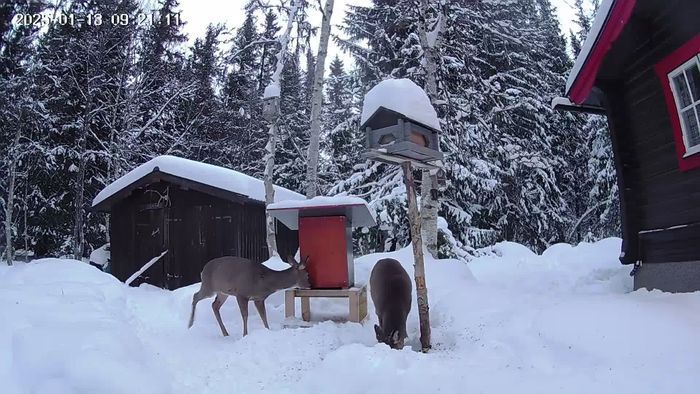 Fjällstuga "Lilla Fjällbacka"