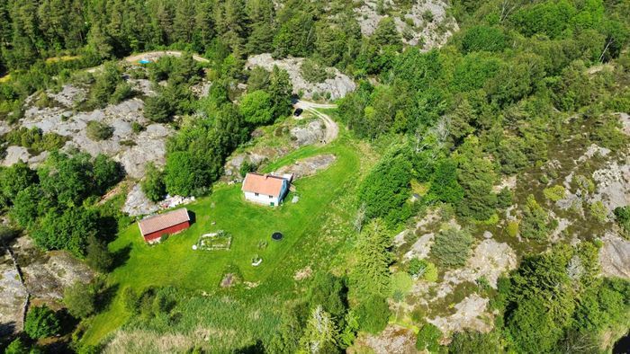 Charmigt Torp, avskilt mitt i naturen och nära hav - Bild 6