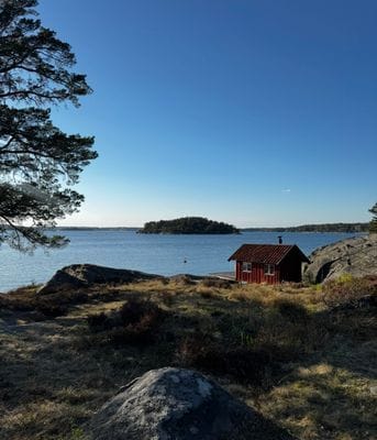 Egen udde med bastu, bryggor och magisk solnedgång - Bild 15