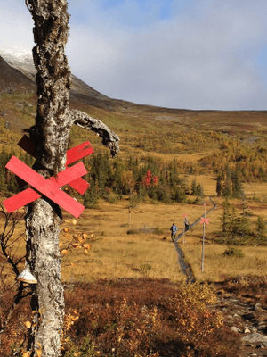 Fin fjällstuga med bastu och kamin - Bild 21