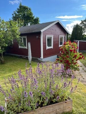 Sommarstuga nära havet - Bild 12