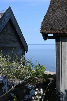 Välkomna till vårt hus vid Alvedsjöbodar, Öland! - Bild 7