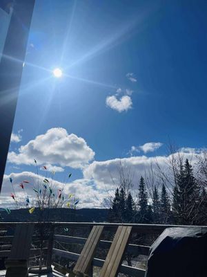 SKI IN/OUT & 10 bäddar - Timmerstuga i Åre/Duved - Bild 23