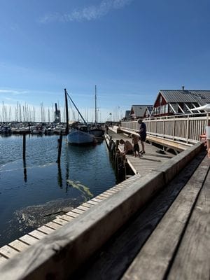 Traditionellt tegelhus i gamla Höganäs - Bild 32