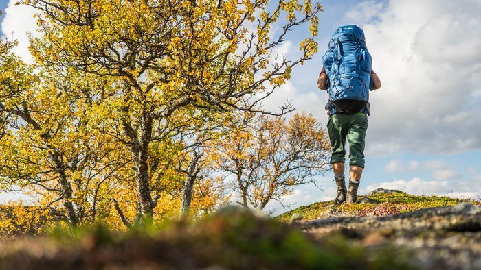 Ski In - Ski Out Edsåsdalen - Bild 19