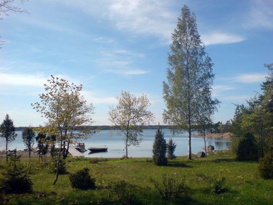 Gräsö - stuga på vacker havstomt - Bild 7