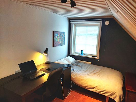 Spacious villa med bastu och julstämning vid sjön - Bild 8