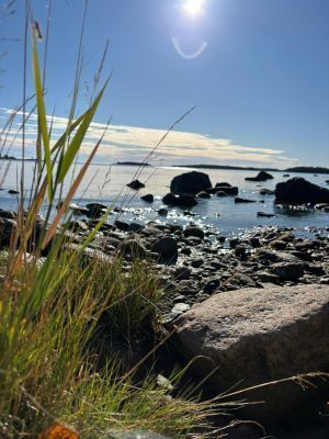 Charmig och modern stuga nära hav och natur - Bild 4