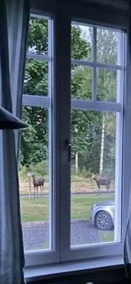 Stuga nära Klarälven Brattmon Sysslebäck - Bild 4