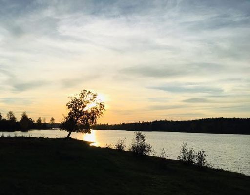 Fantastiskt familjehus med sjötomt och bastu - Bild 43