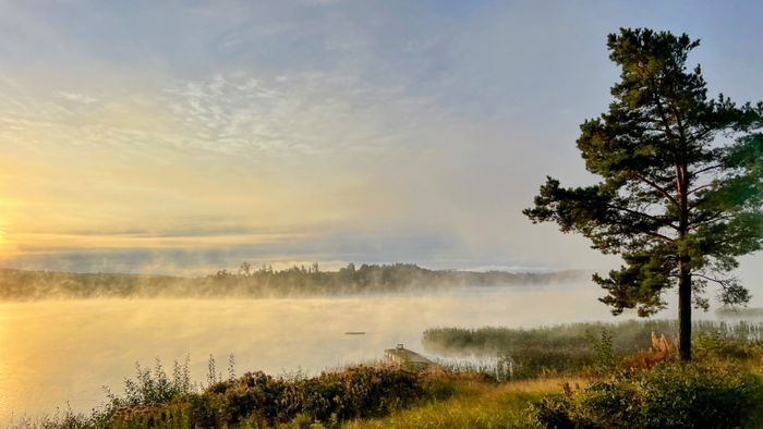 Mysig timmerstuga med kamin i södra Värmland - Bild 25