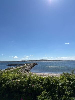 Underbar kustidyll vid havet med unik trädgård - Bild 21