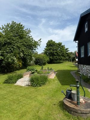 Underbar kustidyll vid havet med unik trädgård - Bild 29