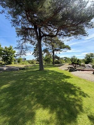 Underbar kustidyll vid havet med unik trädgård - Bild 28