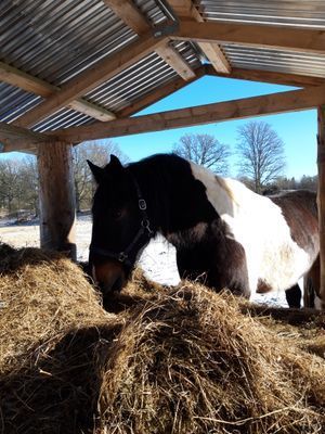 Naturskön och lantlig idyll mellan sjöar. - Bild 63
