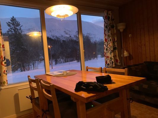 Mysig fjällstuga Skiin/Skiout - Bild 2