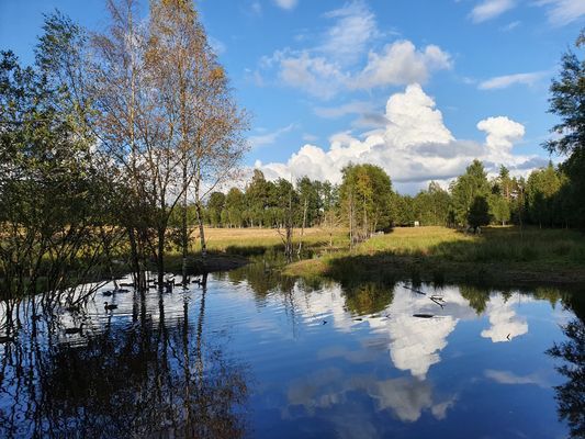 Stuga Soldattorp Byggd 2014 - Bild 5