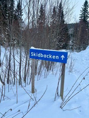 Mysig stuga i Duved, Åre - Bild 6