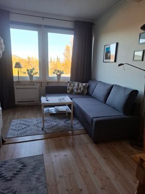 Fjällnära, praktiskt alla årstider, prisvärt - Bild 4