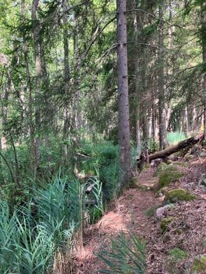 Stuga nära havet - Bild 20