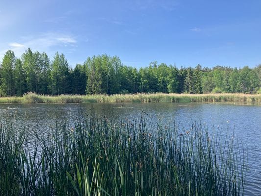 Fågelsjö inom ca 1,5 km