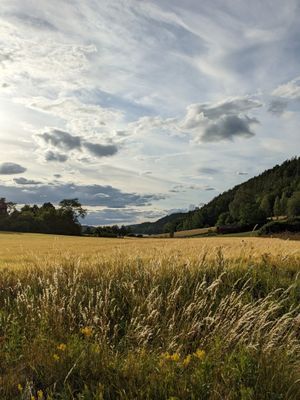 Sommarhus uthyres - Bild 8