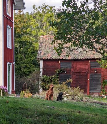 Sommarhus uthyres - Bild 9