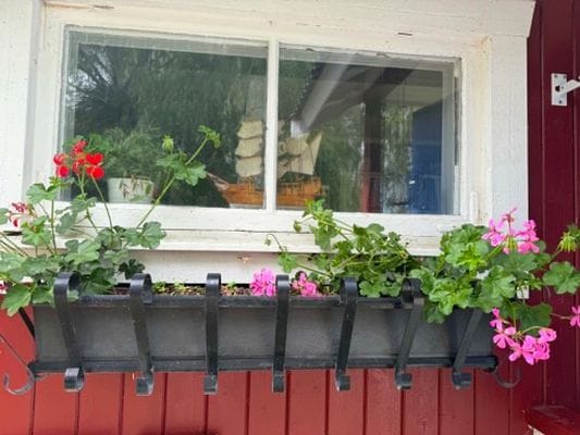 Mysig semester paradis - Bild 3