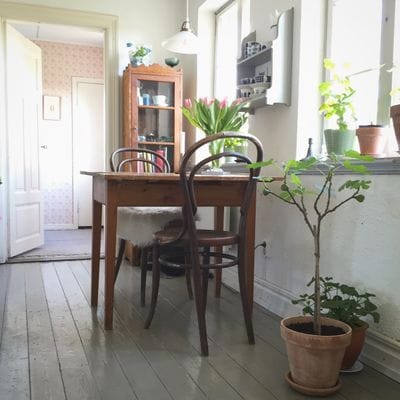 Idyll i Örum på Österlen (Uthyres veckovis!) - Bild 35