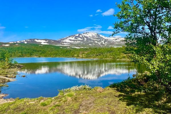 Studio Svartbygget - Bild 32