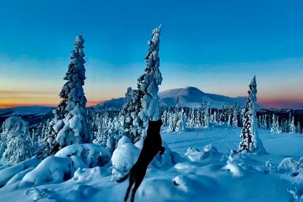 Studio Svartbygget - Bild 27